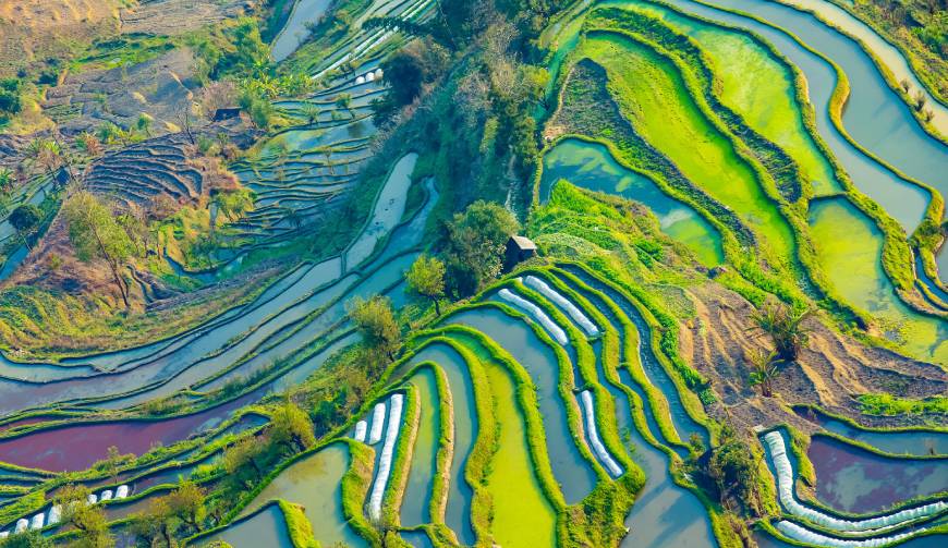 涪城区产品视频拍摄